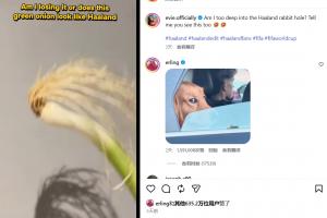 世界杯直播_世界杯直播高清入口无插件在线看视频赛事_世界杯直播平台