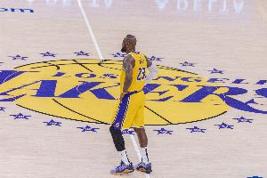 蜘蛛直播-免费无插件直播在线观看_蜘蛛直播nba免费高清现场直播
